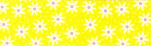 Daisy Chain Yellow 25mmx20m